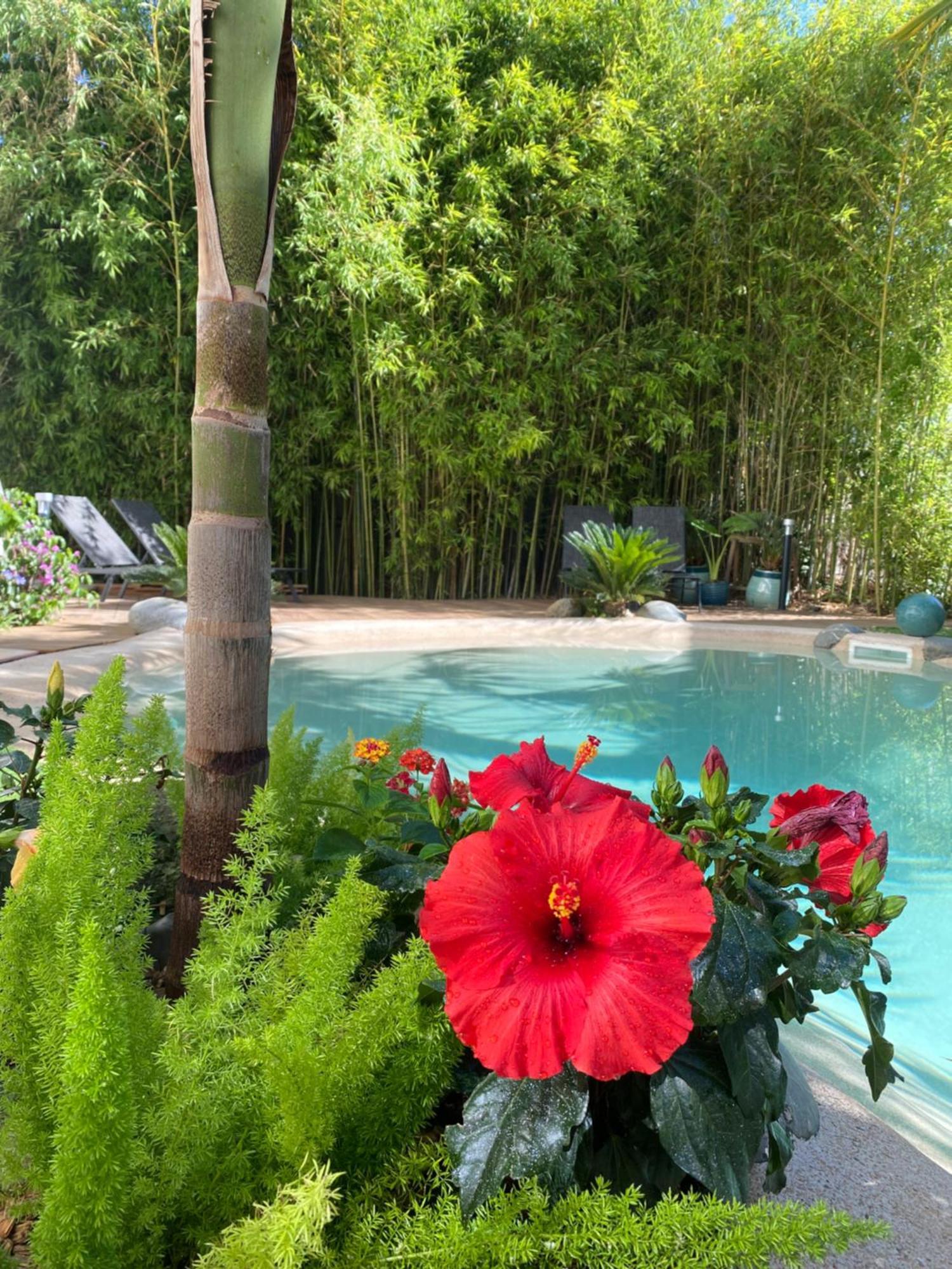 شقة Appt Ambiance Chalet 2Ch Piscine Lagon تارْب المظهر الخارجي الصورة